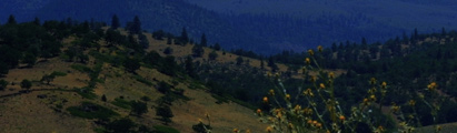 Picture of Mount Shasta in northern California